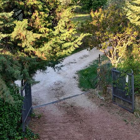 Il Rusticano Chianni Esterno foto