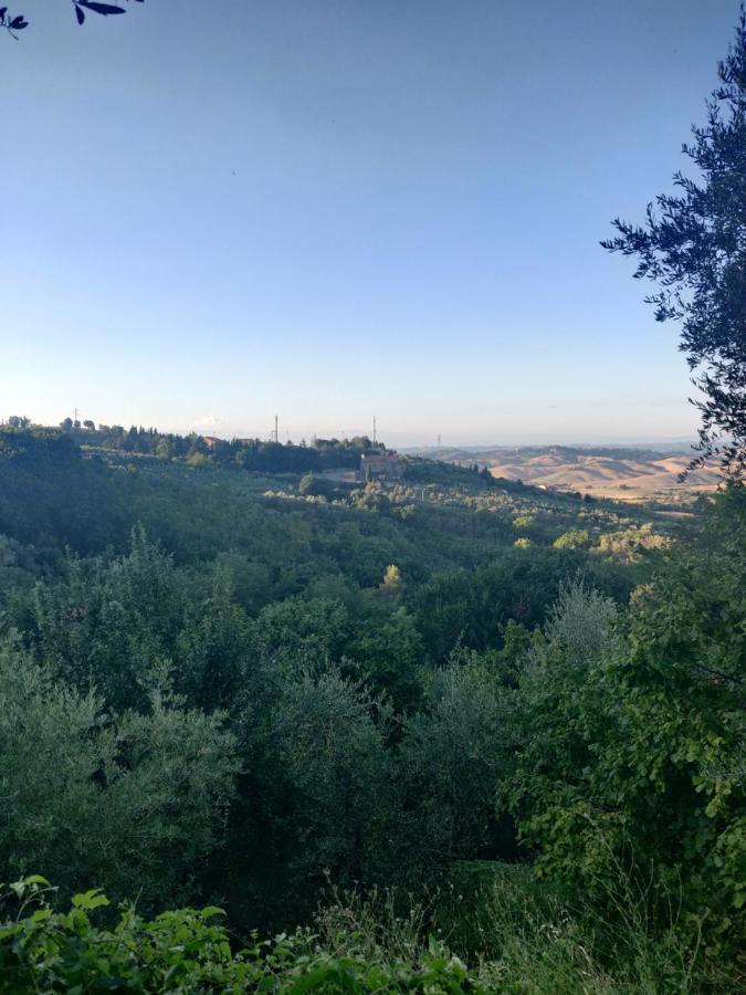 Il Rusticano Chianni Esterno foto