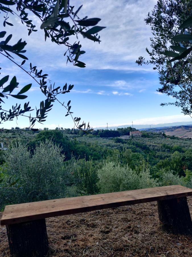 Il Rusticano Chianni Esterno foto