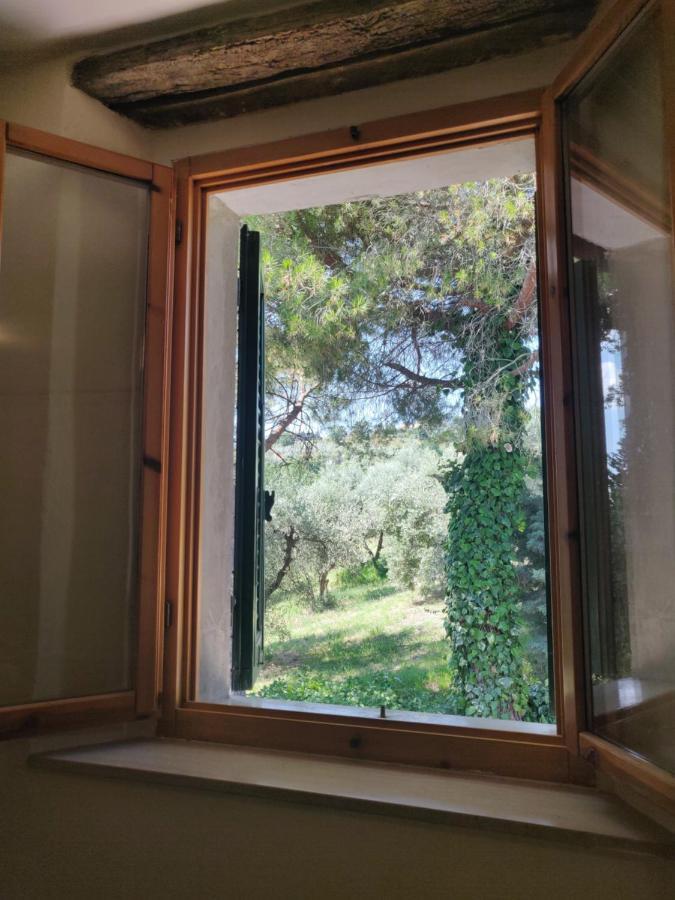 Il Rusticano Chianni Esterno foto