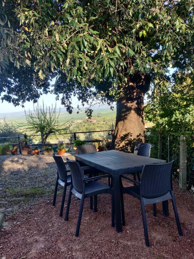 Il Rusticano Chianni Esterno foto
