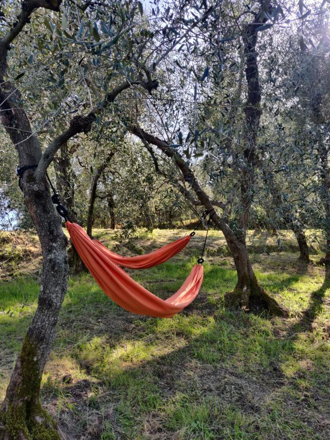 Il Rusticano Chianni Esterno foto