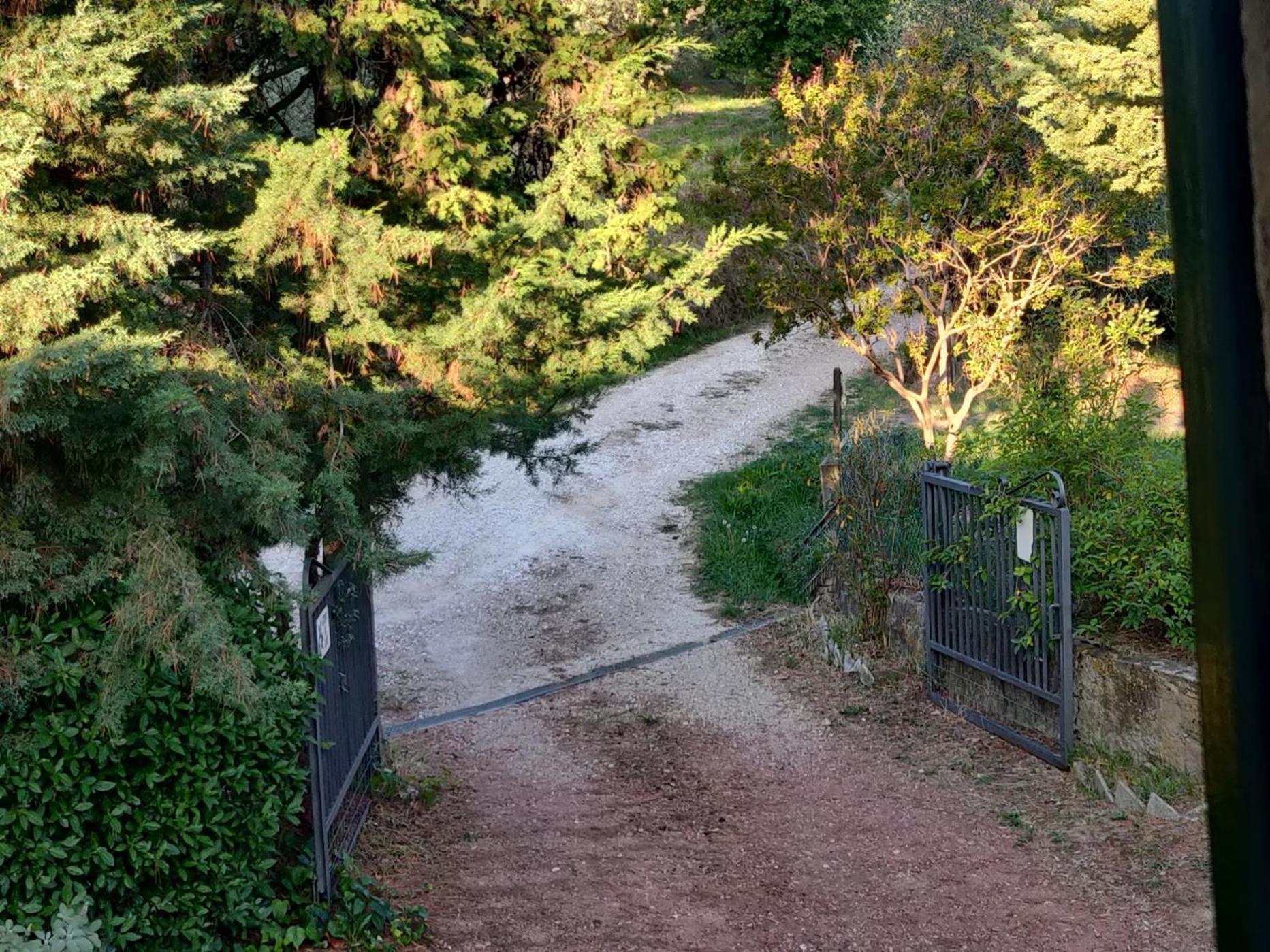Il Rusticano Chianni Esterno foto