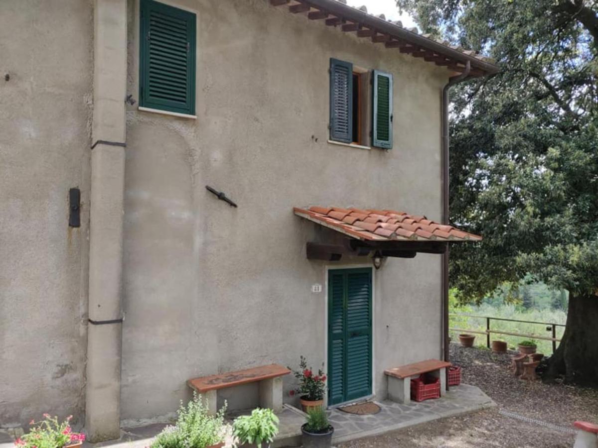 Il Rusticano Chianni Esterno foto
