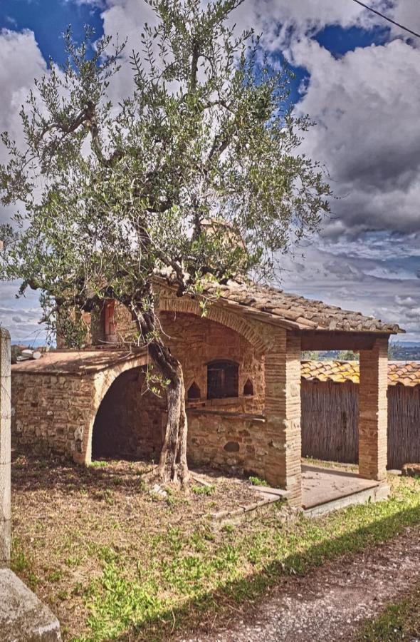 Il Rusticano Chianni Esterno foto